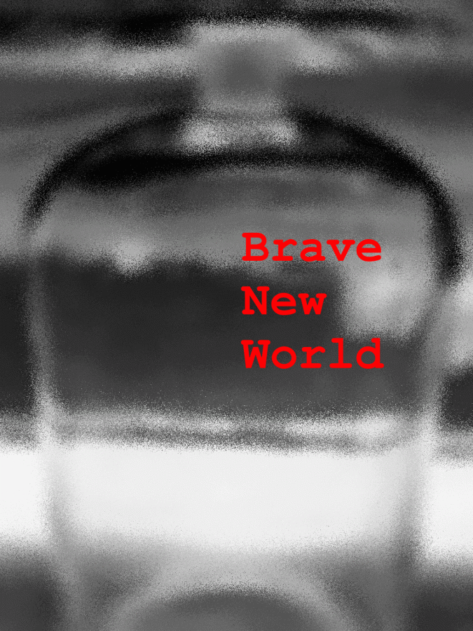 Cover for 'Brave New World' 3